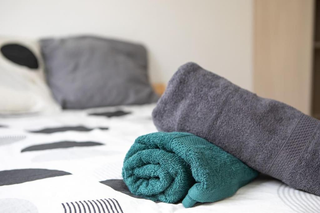 Suite Lumineux Et Moderne, Parking Gratuit, Mulhouse Centre ภายนอก รูปภาพ